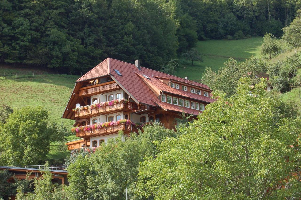 Aparthotel Ehrenmättlehof Faißt Bad Peterstal-Griesbach Exterior foto