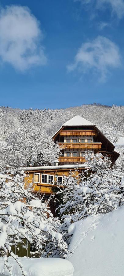 Aparthotel Ehrenmättlehof Faißt Bad Peterstal-Griesbach Exterior foto