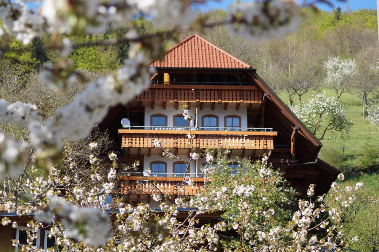 Aparthotel Ehrenmättlehof Faißt Bad Peterstal-Griesbach Exterior foto