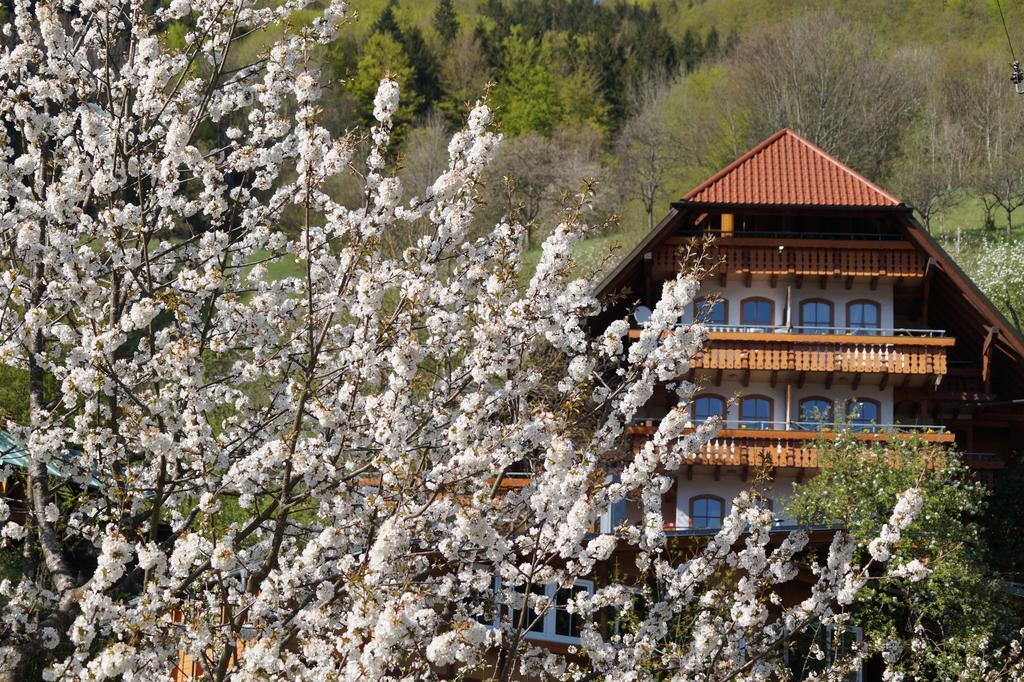 Aparthotel Ehrenmättlehof Faißt Bad Peterstal-Griesbach Zimmer foto